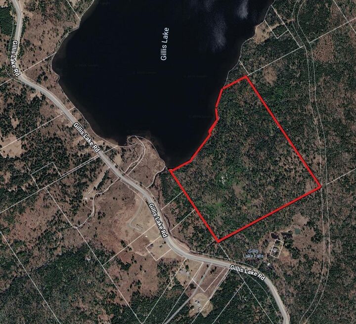 Property Photo:  0 Gillis Lake Road  NS B2A 4H7 