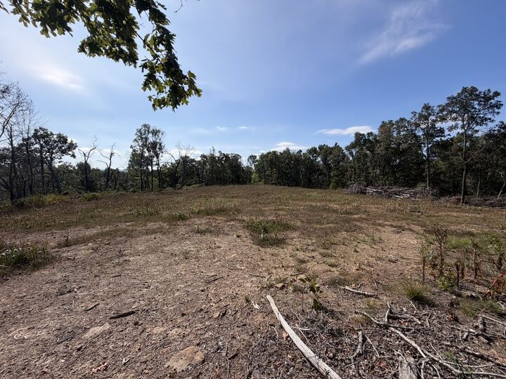 Property Photo:  0 Bug Scuffle Road  AR 72774 