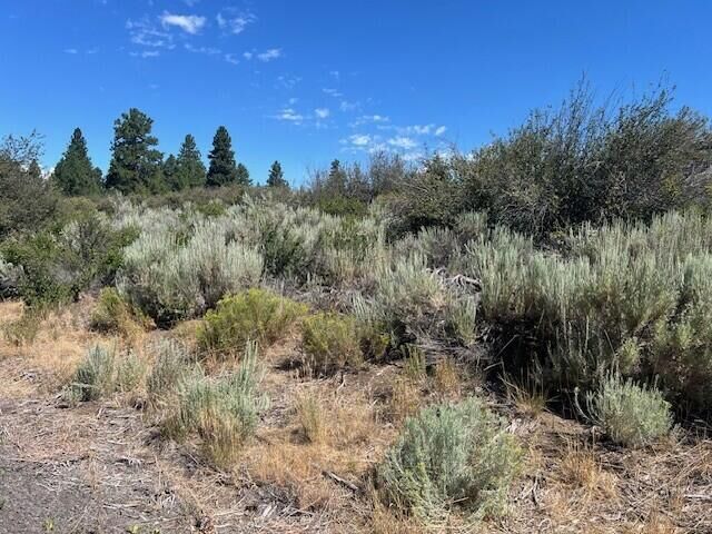 Property Photo:  Wrightwood Lot 16  OR 97624 