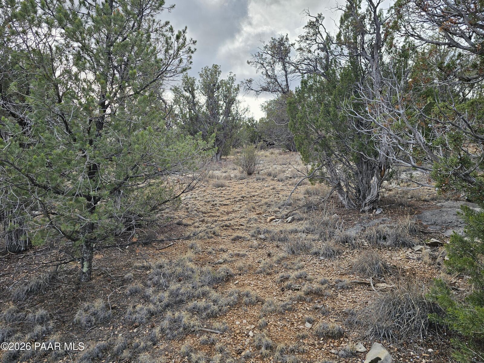 Property Photo: 55644 N Potrero Parkway AZ 86337