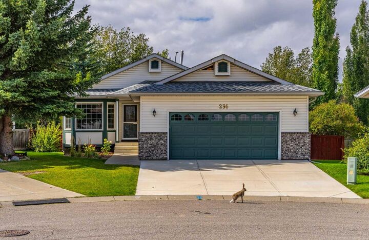 Property Photo:  236 Edgebrook Gardens NW  AB T3A 4Z9 