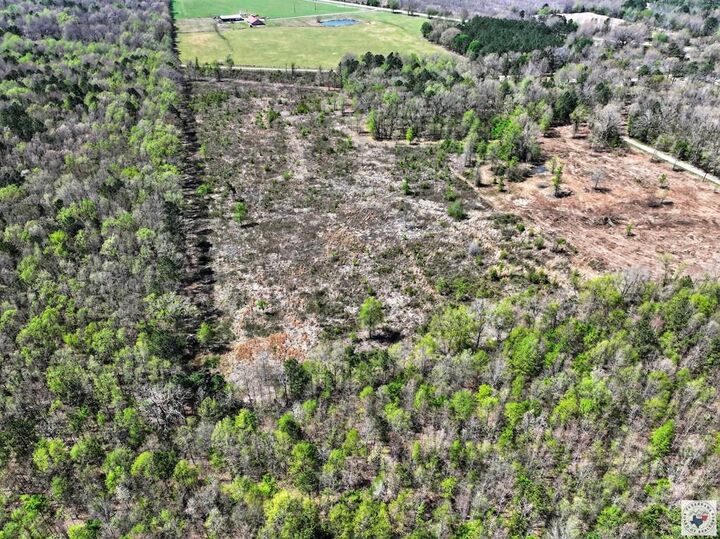 Property Photo:  0 County Road 4223  TX 75574 