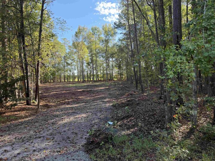Property Photo:  Tract 4 Wise Rd.  SC 29526 