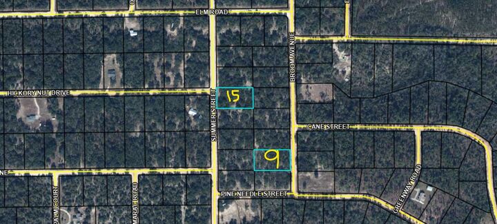 Property Photo:  Lot 9 Broom Avenue  FL 32448 