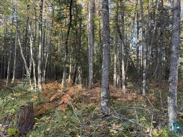 Property Photo:  Xxx Brule River Rd  WI 54820 