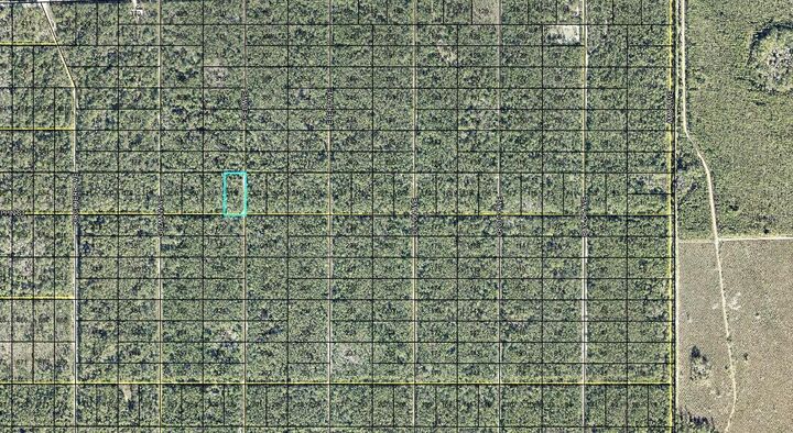 Property Photo:  319 Tippin Street  FL 32145 