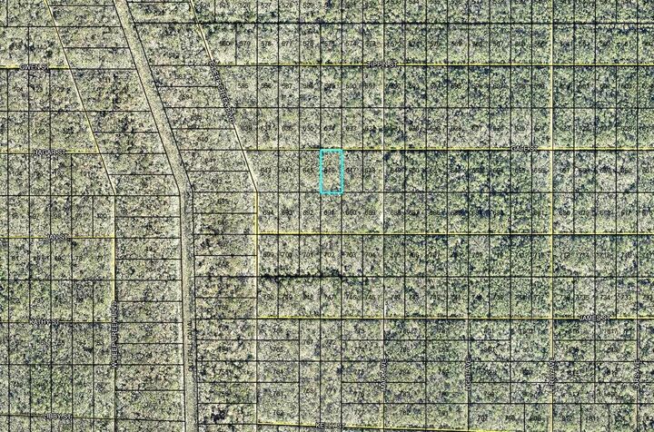 Property Photo:  646 Gale Street  FL 32145 
