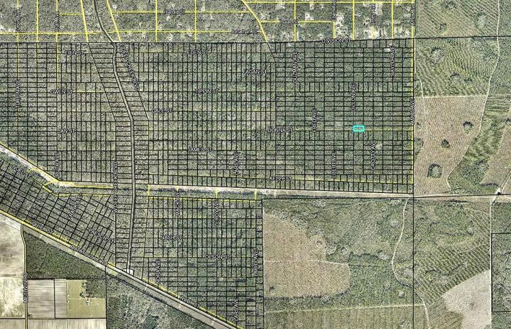 Property Photo:  170 Dilllion Avenue  FL 32145 