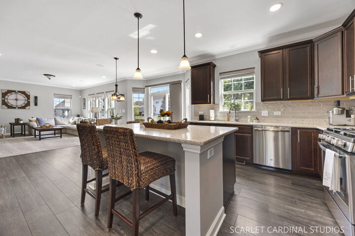 Property Photo:  21318 Willow Pass  IL 60404 