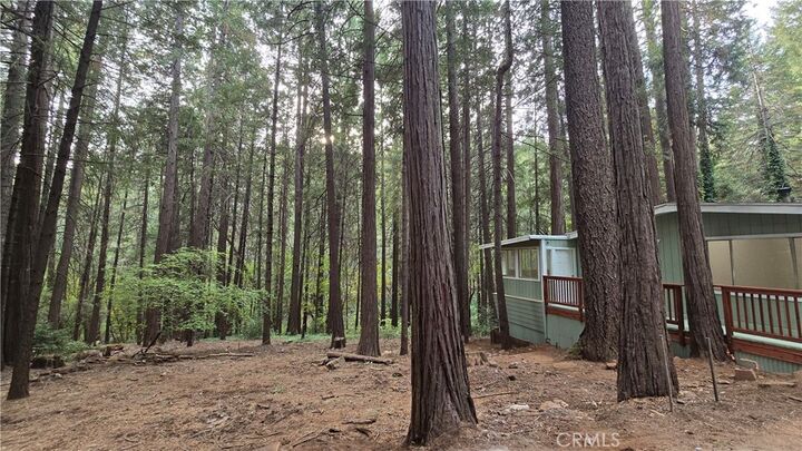 Property Photo: 14711 Fargo Court CA 95954