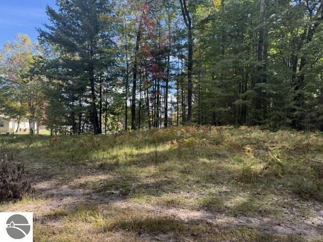 Property Photo: V/L .41 Ac Old Trail MI 48629