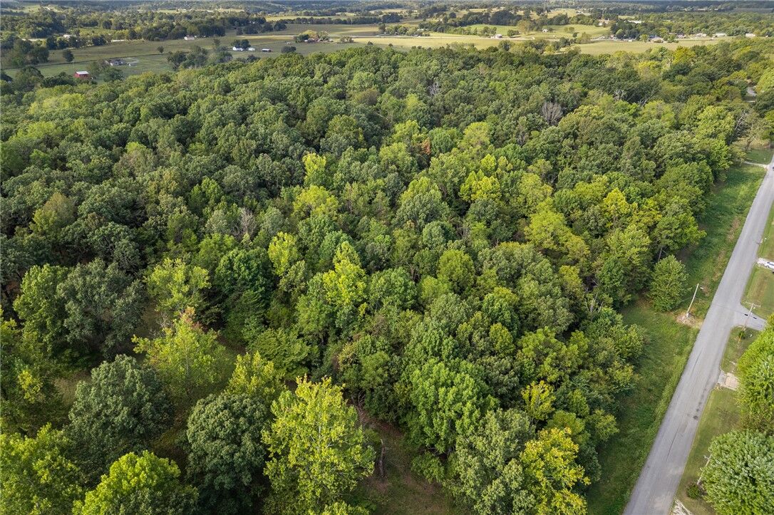 Property Photo:  Tbd Rally Hill Drive  AR 72682 