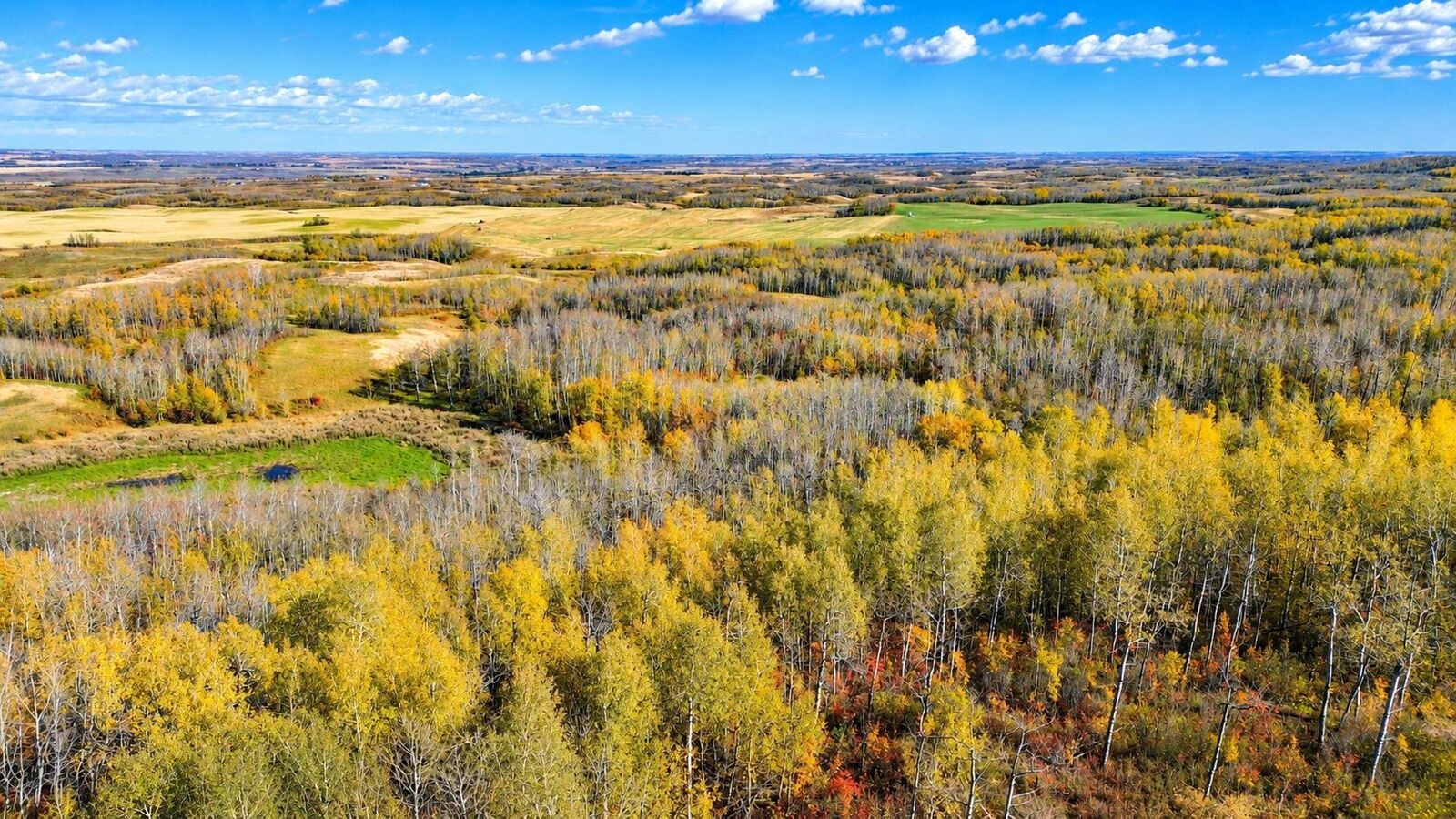 Property Photo:  On Range Road 260  AB T4E 1E9 