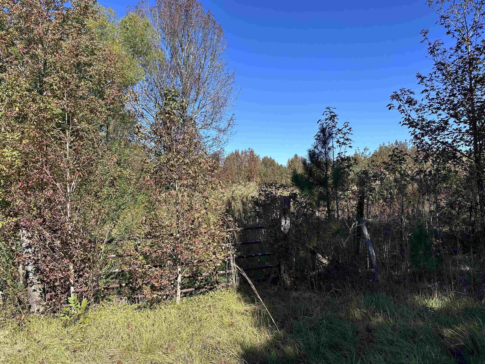 Property Photo: 01 Co Hwy 195 AL 35565