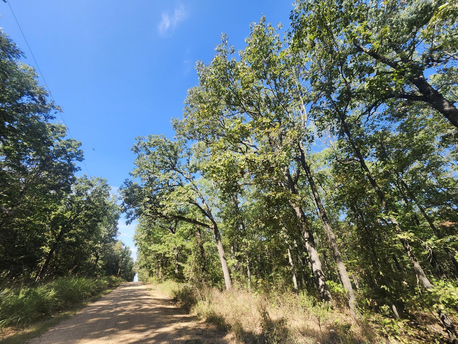 Property Photo: 13239 County Road 290 MO 65650