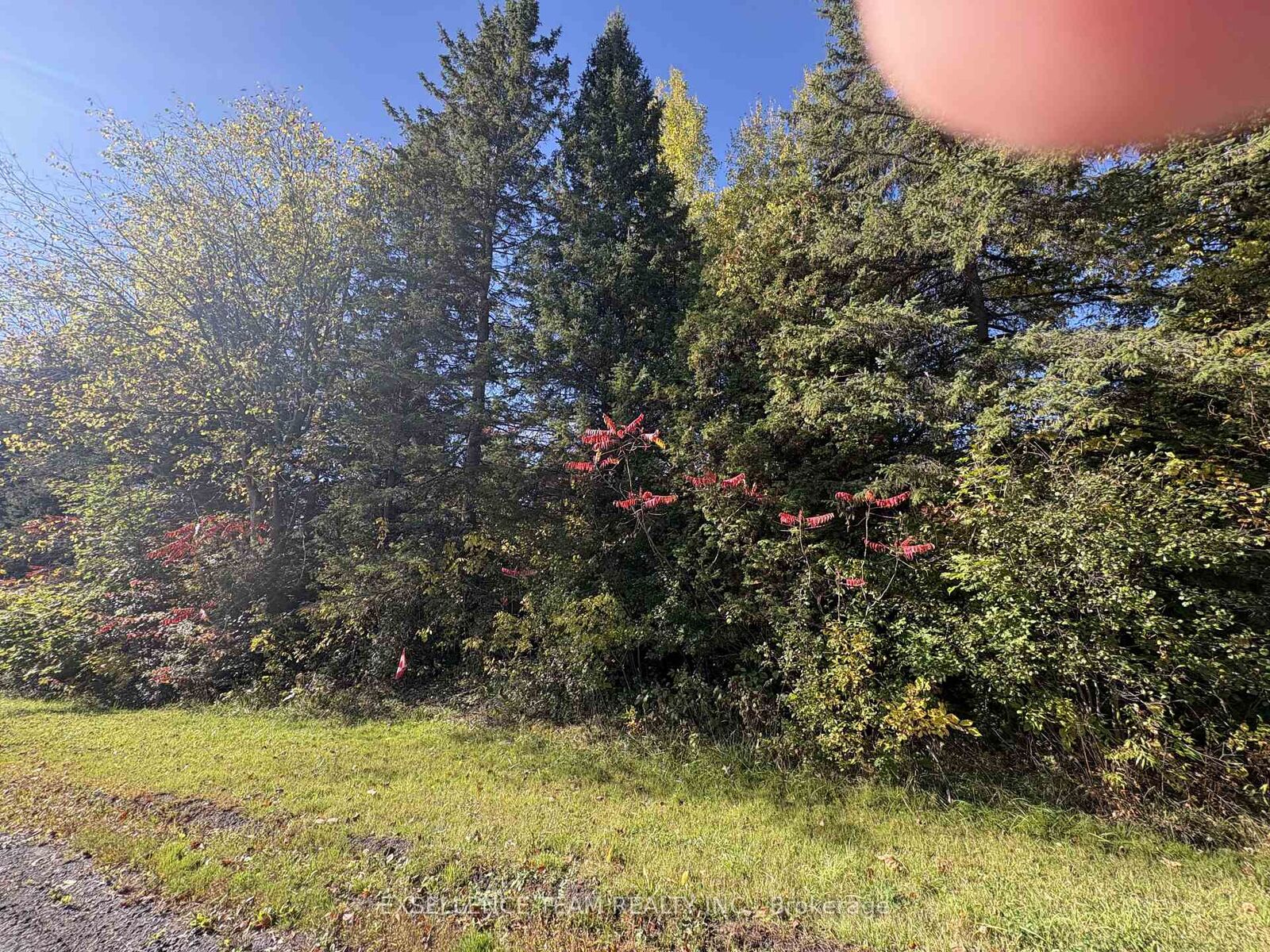 Property Photo:  N/A Glen Roy Rd Road  ON K0C 1L0 