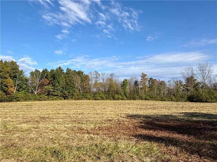 Property Photo:  Wood Road  NY 13068 