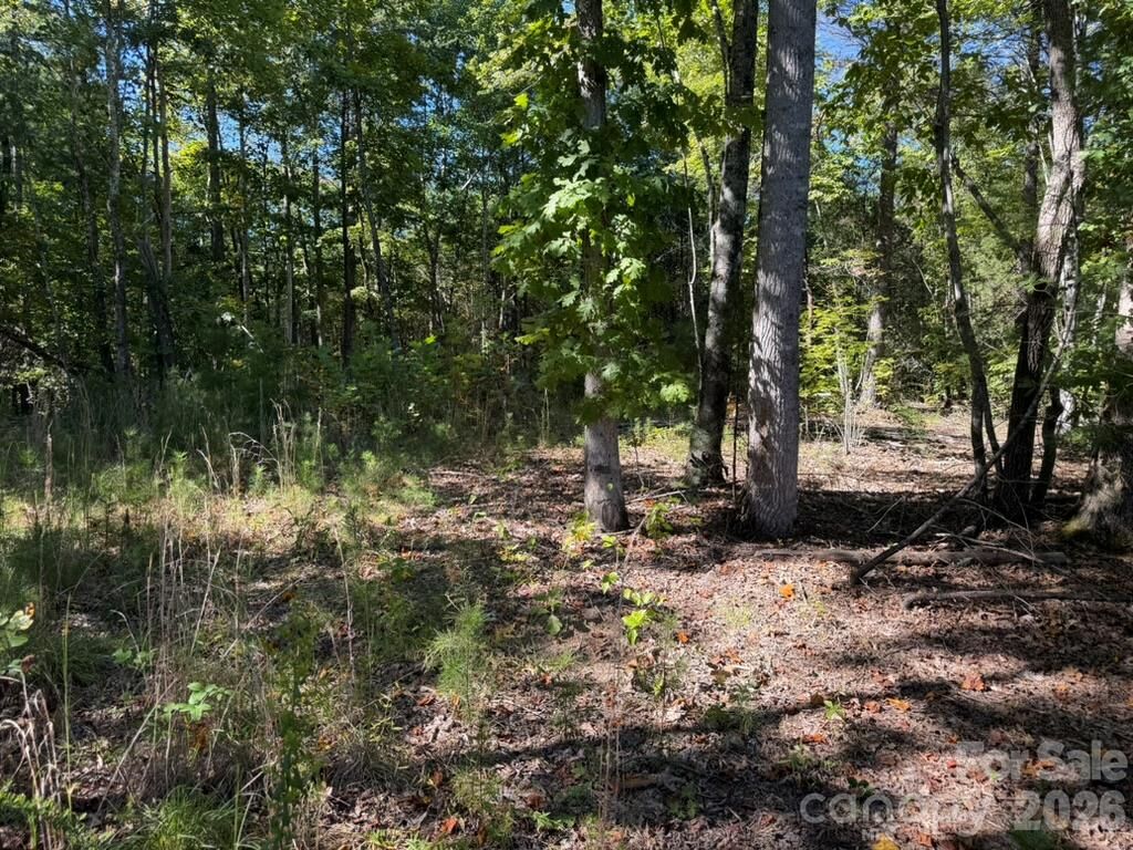 Property Photo:  3523 Pax Hill Road  NC 28655 
