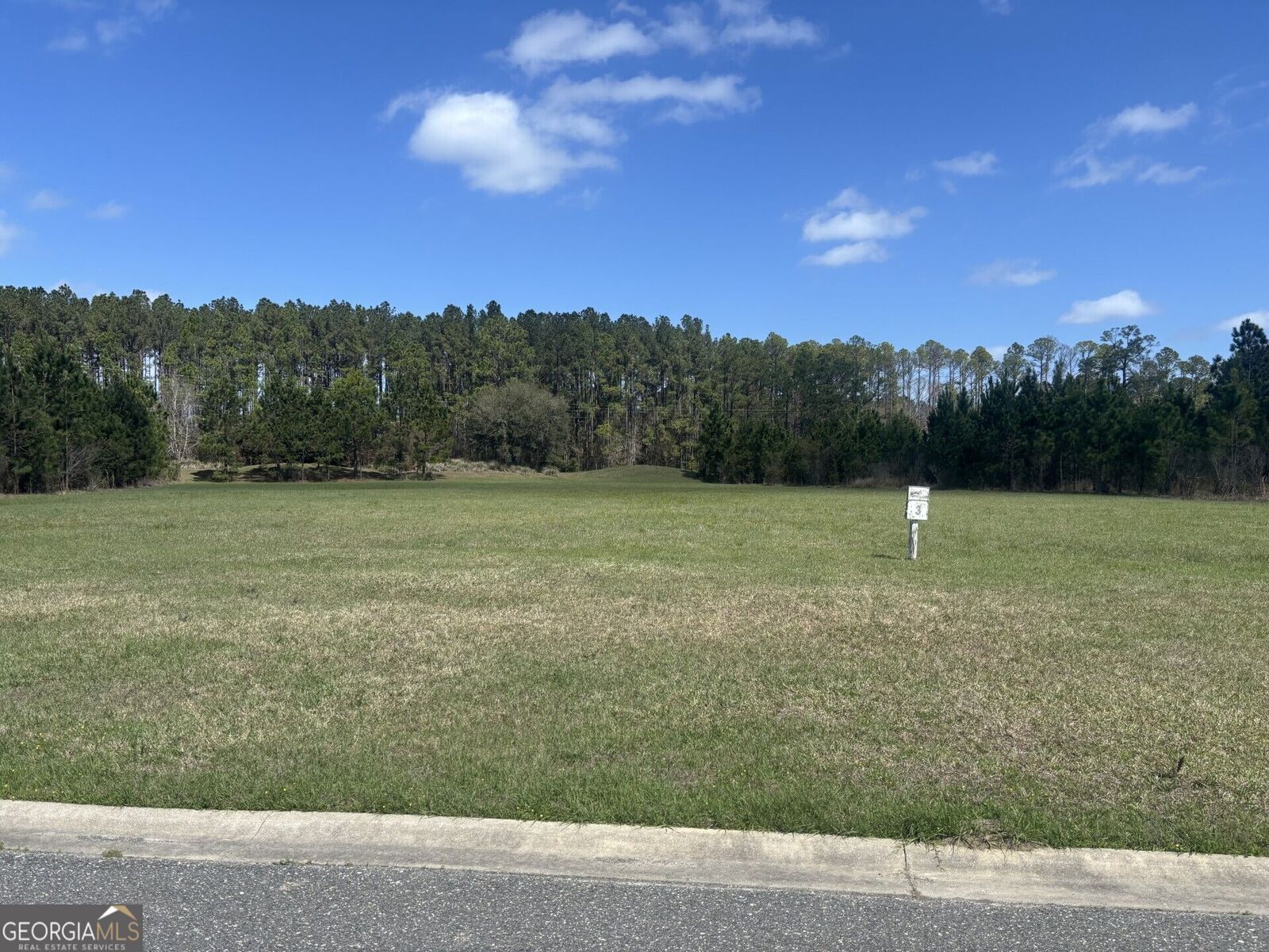 Property Photo: 111 Longshore Drive GA 31548