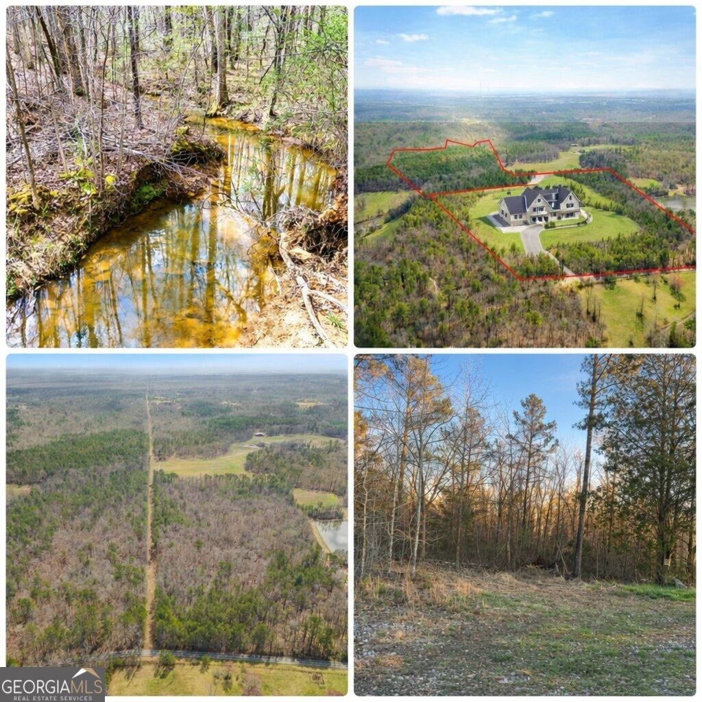 Property Photo: 0 Clem Lowell Road GA 30116