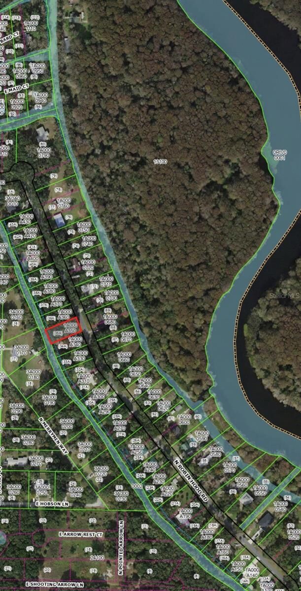 Property Photo:  368 N Robin Hood Road  FL 34450 