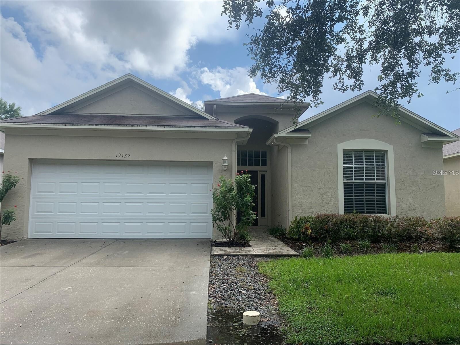 Property Photo:  19132 Wood Sage Drive  FL 33647 