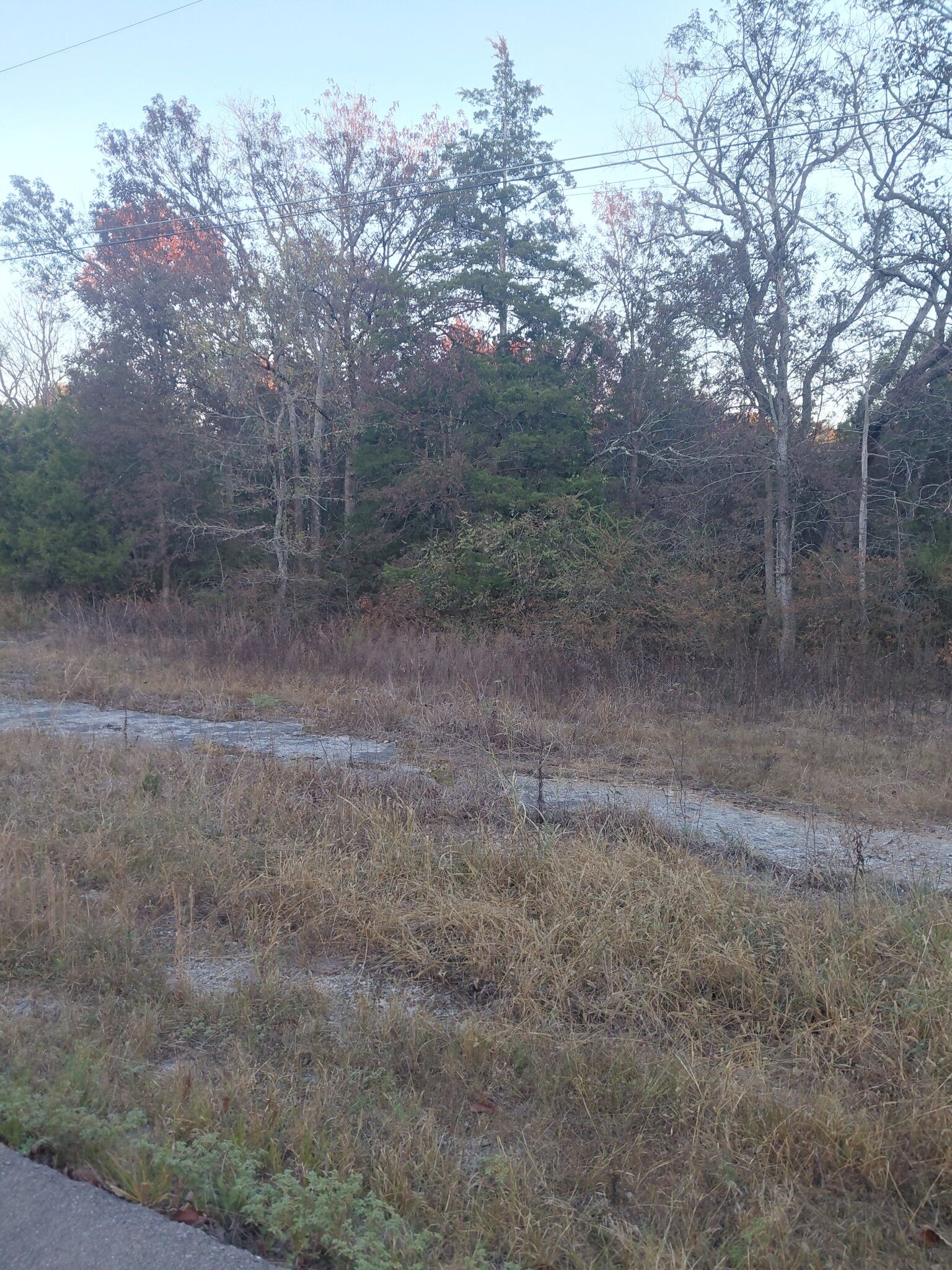 Property Photo: 0 Murfreesboro St TN 37127