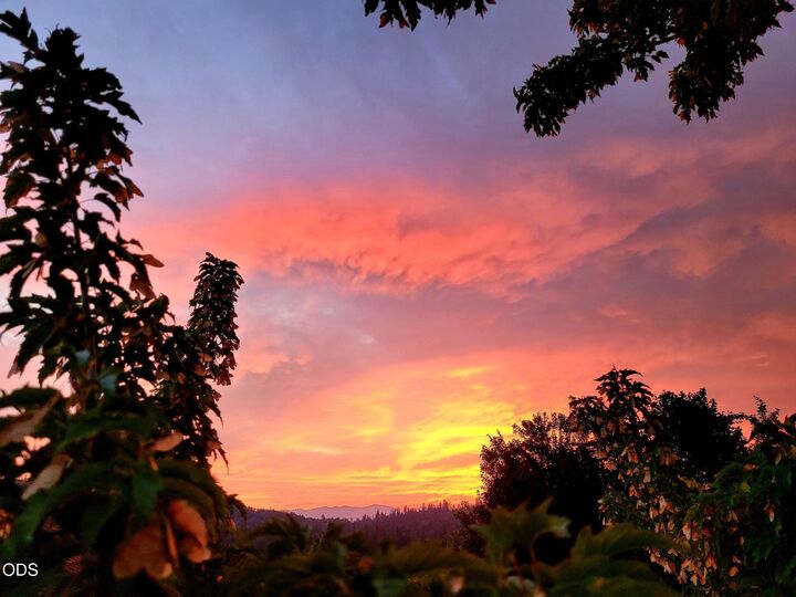 Property Photo:  224 Landau Lane  OR 97527 