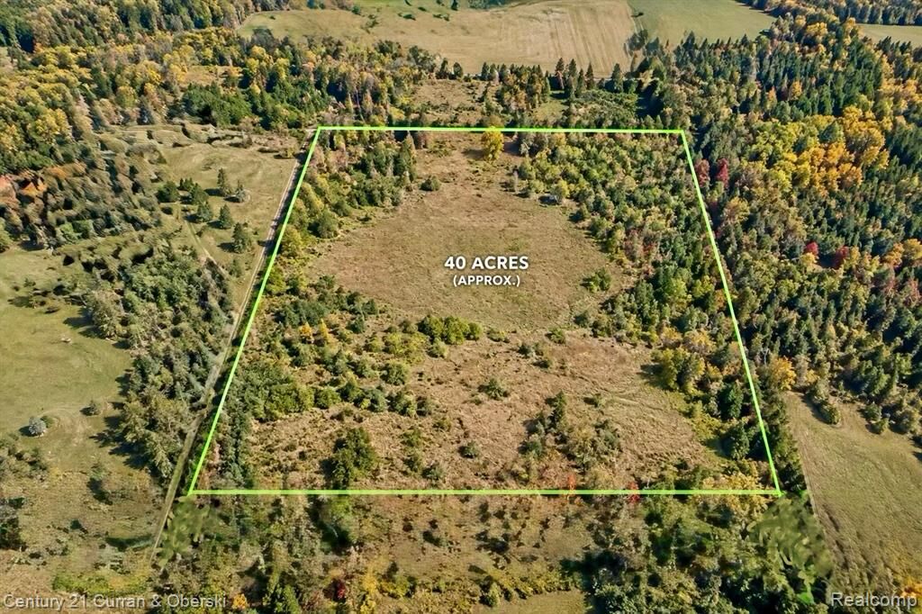 Property Photo:  Xxx Szymoniak Hwy  MI 49759 