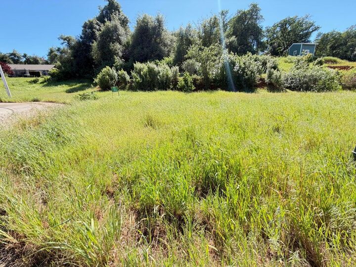 Property Photo: 0.34- Acre Yellow Finch Way CA 96007