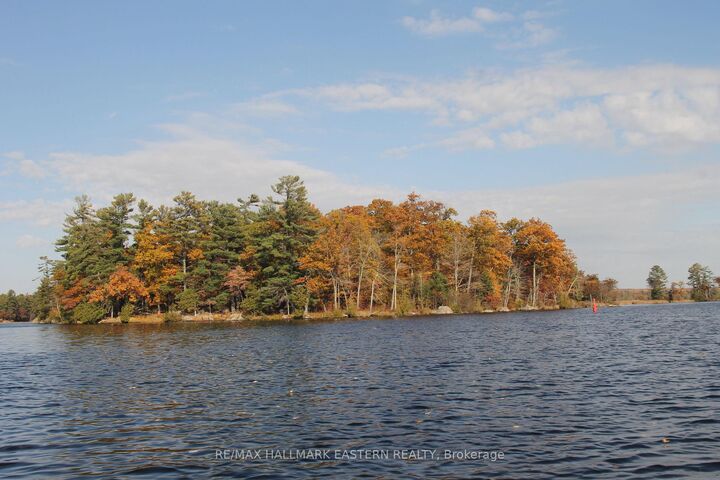 Photo de la propriété:  C280 Lower Buckhorn Lake N/A Lots 1 And 2  ON K0L 1J0 