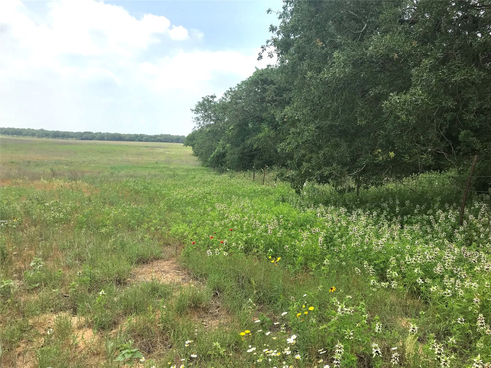 Property Photo:  1672 Sayers Road  TX 78602 