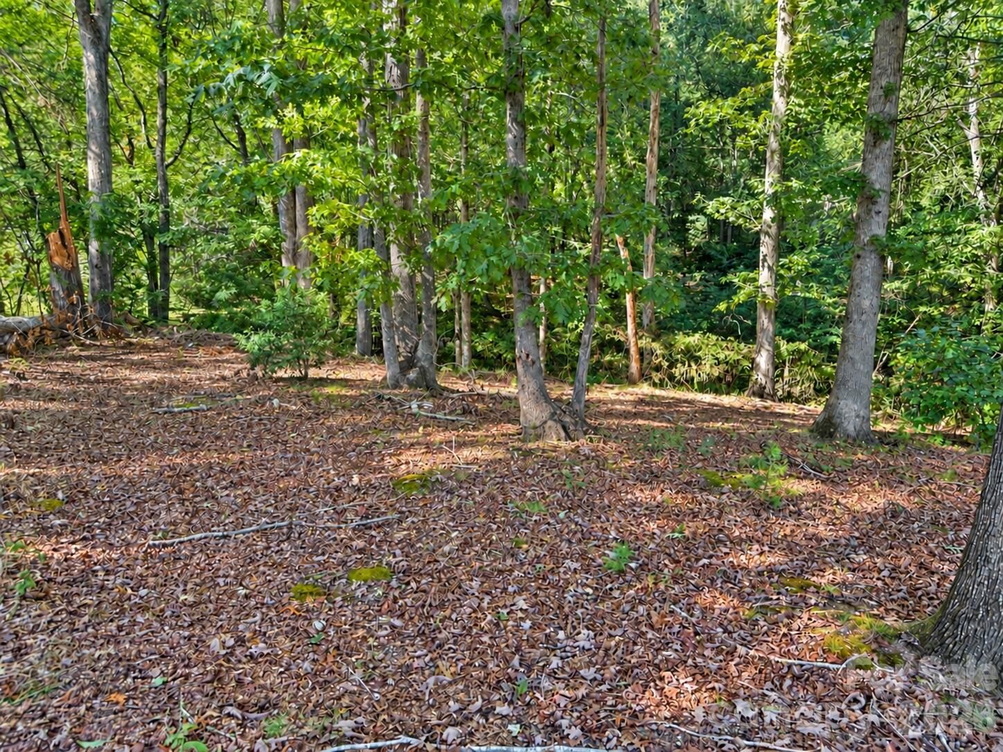 Property Photo:  130 + 140 College Circle 9 &Amp 10  NC 28612 