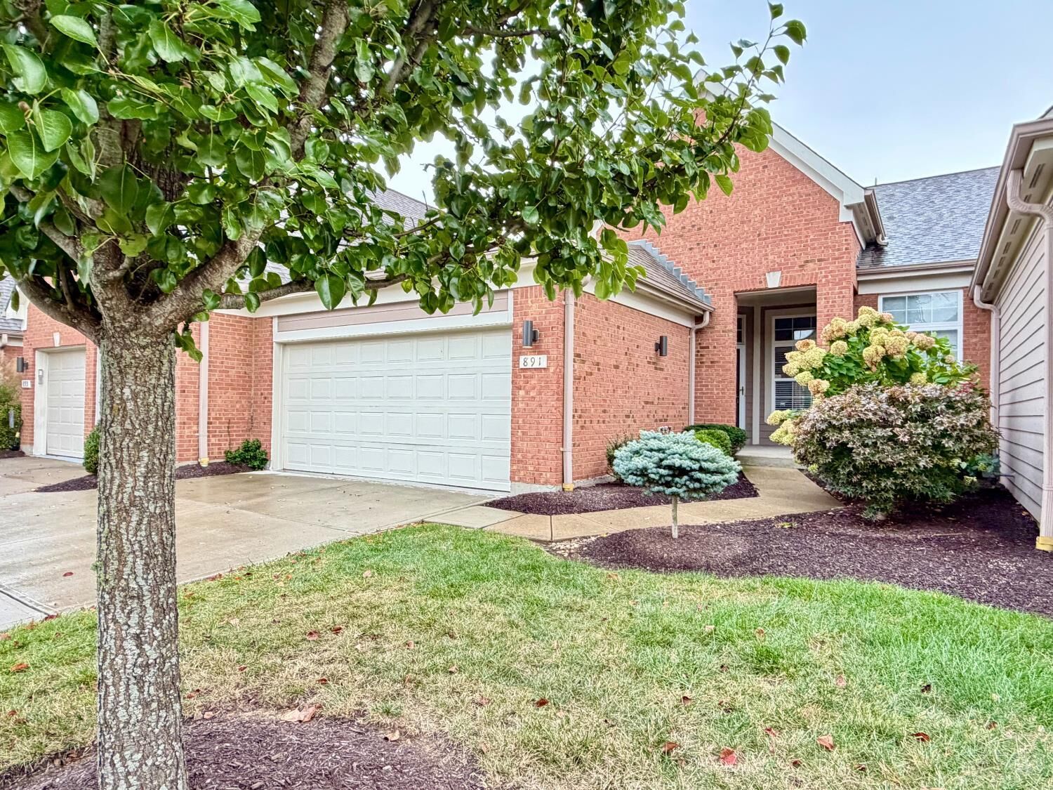 Property Photo: 891 Cypresspoint Court OH 45245
