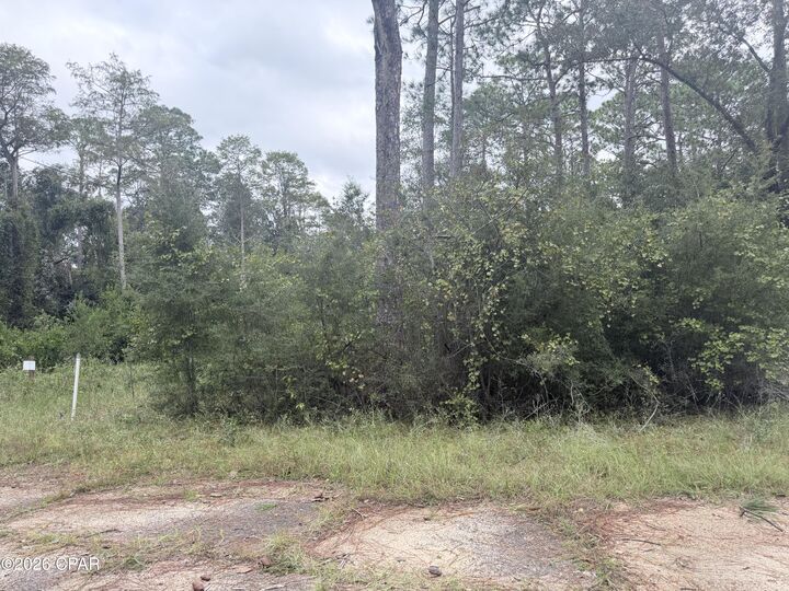 Property Photo:  Lot 1 Wellington Place  FL 32428 