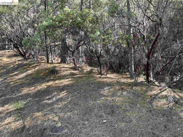Property Photo:  0001 Stable  CA 95370 