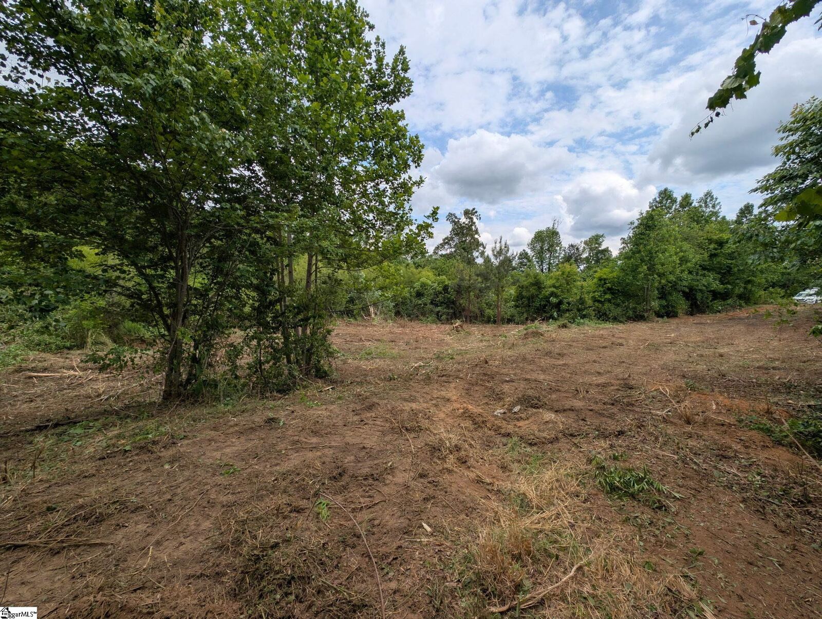 Property Photo:  418 N Walcher Farm Drive  SC 29349 