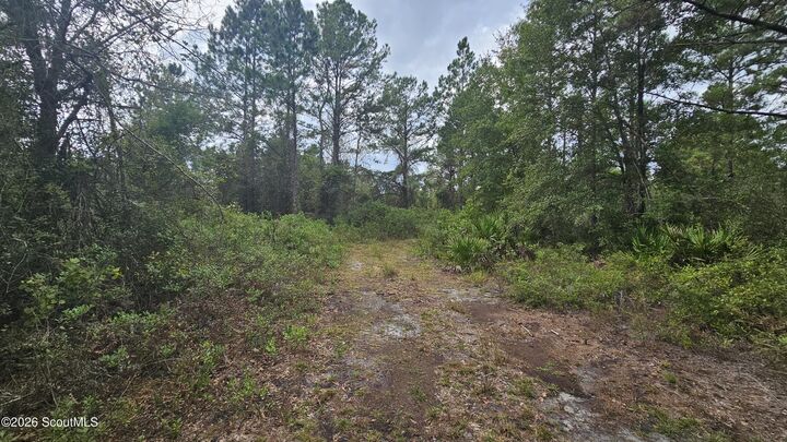 Property Photo: 0 Tmberland Court GA 31565