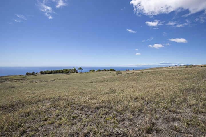 Property Photo:  Maluhi St Lot 677  HI 96743 