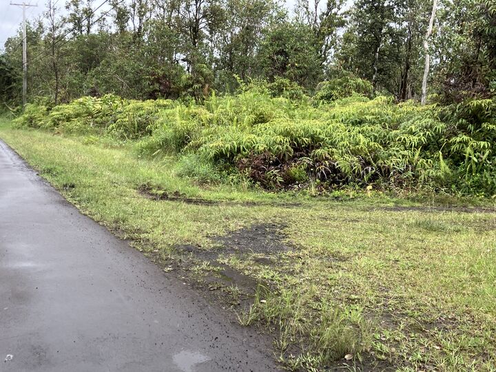 Property Photo:  Lehua St  HI 96771 