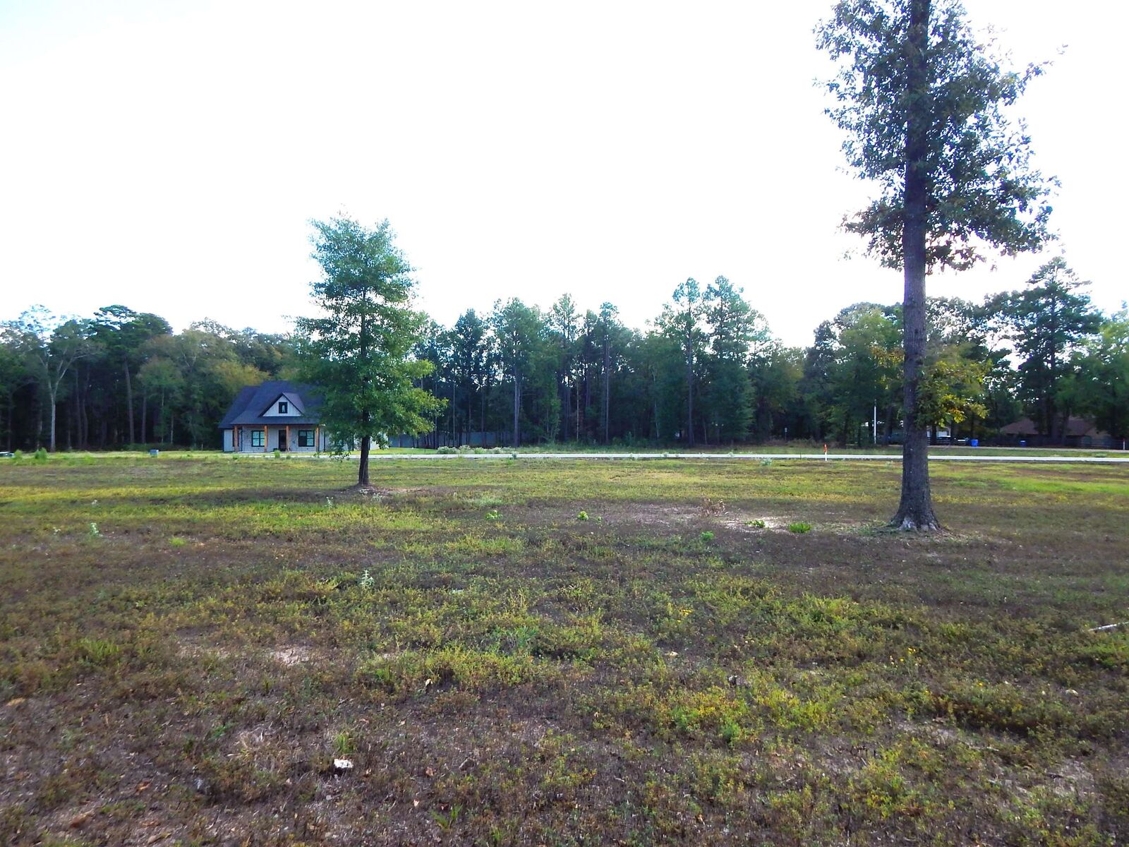 Property Photo:  290 Indian Rock Dr  TX 75645 