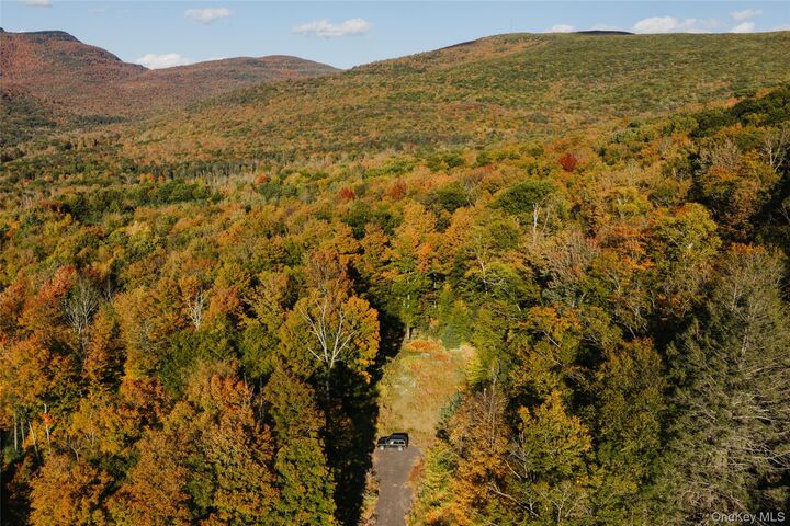 Property Photo:  Tbd Macdaniel Road  NY 12409 