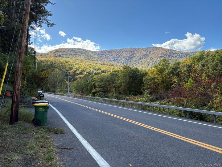 Property Photo:  5417-5419 Route 212  NY 12457 