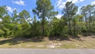 Property Photo:  5148 W Deputy Drive  FL 34465 