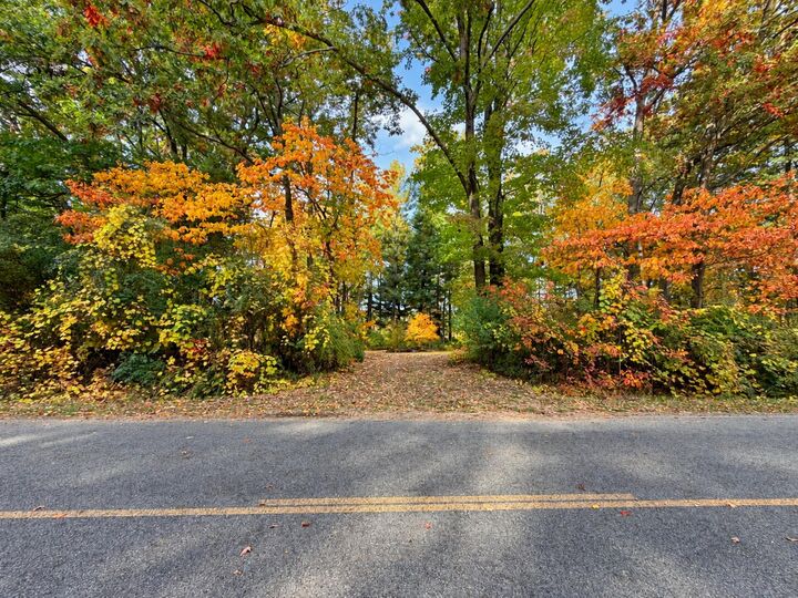 Property Photo: 7861 Vestaburg Road MI 48891