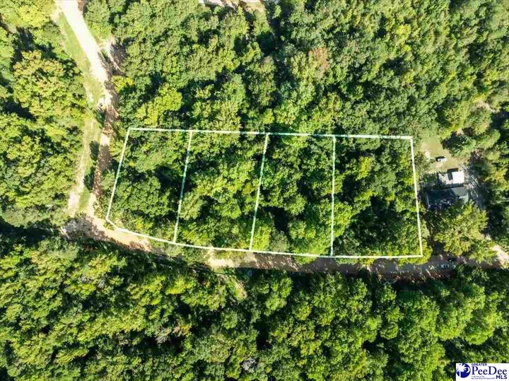 Property Photo:  0000 Jeffrey St. Lot 78  SC 29520 