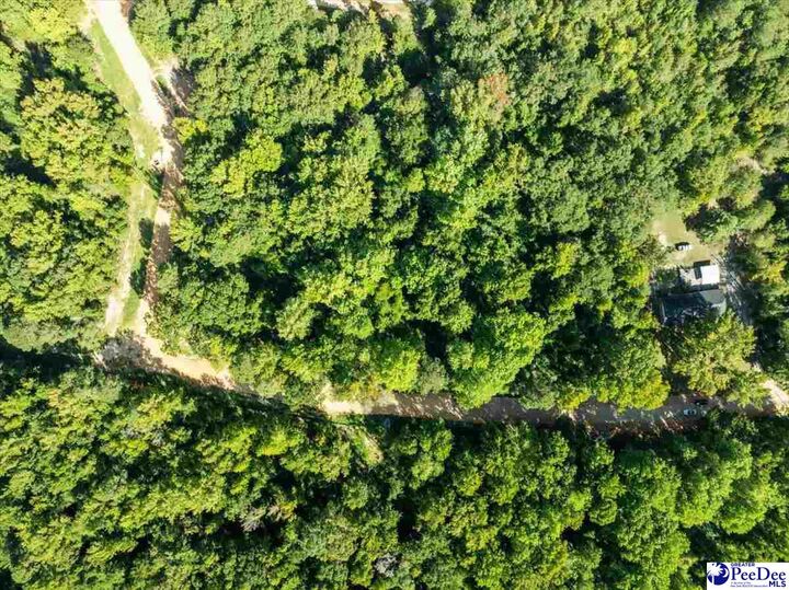 Property Photo: 0000 Jeffrey St Lot 76 SC 29520