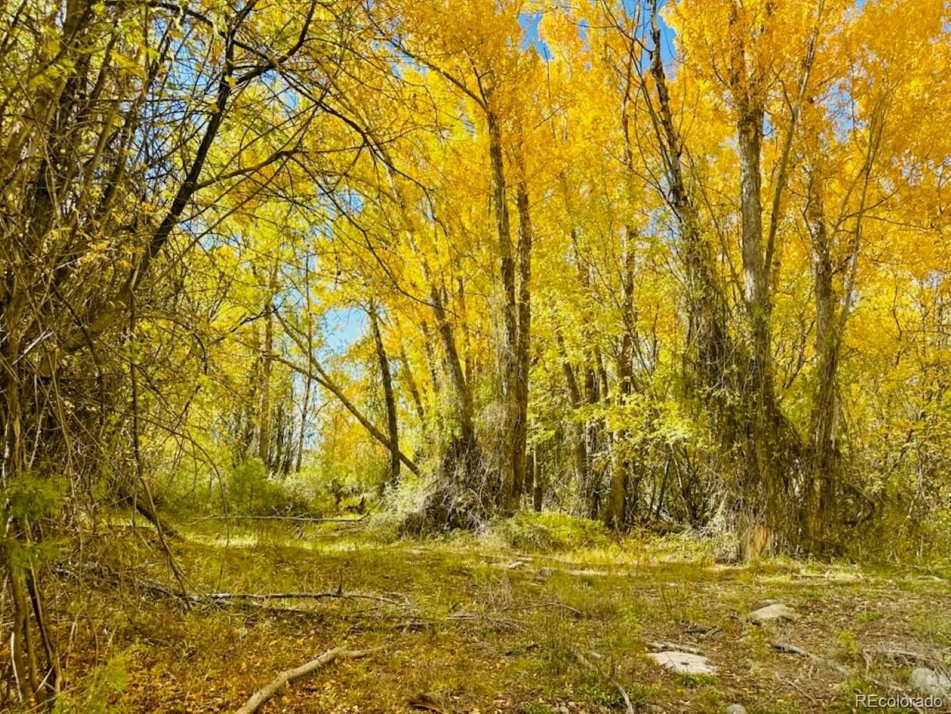 Property Photo: 123 Indian Hill Road CO 81146