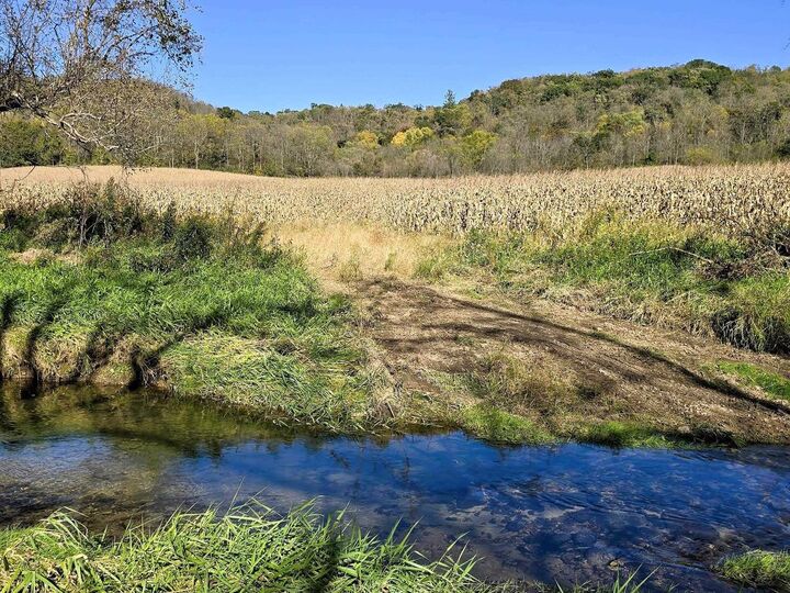 Property Photo: 196+/- Acres Highway 171 WI 54631