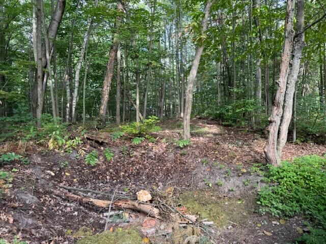 Property Photo:  V/L S Perch Lake Drive  MI 49735 